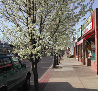 York Road side walk 04-07-02